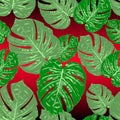 Monstera tropical leaf vector illustration. Summer print. Seamless pattern Royalty Free Stock Photo