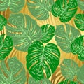 Monstera tropical leaf vector illustration. Summer print. Seamless pattern Royalty Free Stock Photo