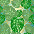 Monstera tropical leaf vector illustration. Summer print. Seamless pattern Royalty Free Stock Photo