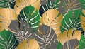 Monstera tropical leaf vector illustration. Vector banner.Seamless Pattern. Royalty Free Stock Photo