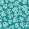Monstera tropical leaf in a vector seamless pattern Royalty Free Stock Photo