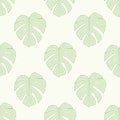 Monsterio Leaf Seamless Pattern Background
