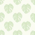 Monsterio Leaf Seamless Pattern Background Royalty Free Stock Photo