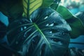 Monsterra leaf jungle. Generate Ai