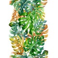 Monsterra seamless Border with yellow-green leaves isolated