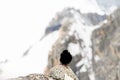 Mont blanc black bird Royalty Free Stock Photo