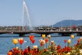 Mont-Blanc bridge and famous Jet dÃ¢â¬â¢Eau in Geneva, Switzerland Royalty Free Stock Photo