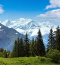 Mont Blanc mountain massif (view from Plaine Joux outskirts)