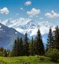 Mont Blanc mountain massif (view from Plaine Joux outskirts