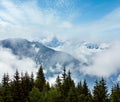 Mont Blanc mountain massif (view from Plaine Joux outskirts