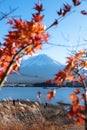 Mount Fuji beautiful landscape view from lake Kawaguchi in autumn Royalty Free Stock Photo