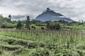 Mont Mikeno in Nord Kivu Royalty Free Stock Photo