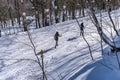 Mont-Royal Park in Montreal after snow storm Royalty Free Stock Photo