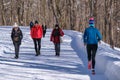 Mont-Royal Park in Montreal after snow storm Royalty Free Stock Photo