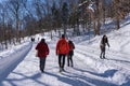 Mont-Royal Park in Montreal after snow storm Royalty Free Stock Photo