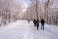 Mont-Royal Park in Montreal after snow storm Royalty Free Stock Photo