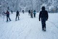 Mont-Royal Park in Montreal during snowstorm Royalty Free Stock Photo