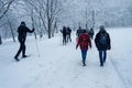 Mont-Royal Park in Montreal during snowstorm Royalty Free Stock Photo