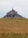 Mont Saint Michel Abbey in Normandy in Northern France and the sheep grazing at low tide Royalty Free Stock Photo