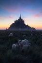Mont Saint-Michel in early morning. France Royalty Free Stock Photo