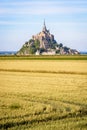Wheat fields in the polders opposite the Mont Saint-Michel tidal island in Normandy, France Royalty Free Stock Photo