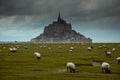 Mont St. Michel church near by the sea in Northern of France during cloudy with many sheep Royalty Free Stock Photo