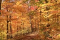 Mont Tremblant National Park in autumn Royalty Free Stock Photo
