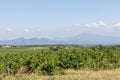 Mont Ventoux mountain and Dentelles de Montmirail chain of mountains with green wine fields of Provence, France Royalty Free Stock Photo