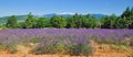 Mont Ventoux,Provence,France