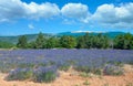 Mont Ventoux,Provence,France Royalty Free Stock Photo