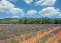 Mont Ventoux,Provence,France Royalty Free Stock Photo