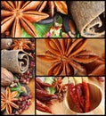 Montage of Assorted Spices used in Asian Cooking Royalty Free Stock Photo