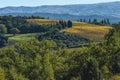 MONTALCINO - TUSCANY/ITALY: OCTOBER 31, 2016: Montalcino countryside, vineyard, cypress trees and green fields