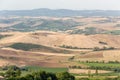 Montalcino, Tuscany, Italy / 23rd July 2016 / Panoramic view of the grape fields in summer on the hills of Montalcino Royalty Free Stock Photo