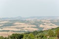 Montalcino, Tuscany, Italy / 23rd July 2016 / Panoramic view of the grape fields in summer on the hills of Montalcino Royalty Free Stock Photo