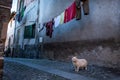 Montalto di Castro, Viterbo - Latium, Italy