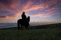 Montana cowboy on ridge at dawn Royalty Free Stock Photo