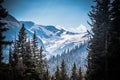 Montana Glacier National Park, Jackson Glacier through the trees Royalty Free Stock Photo