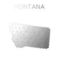 Montana polygonal vector map.