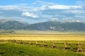 Montana Ranch Royalty Free Stock Photo