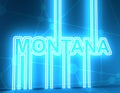 Montana State Name.