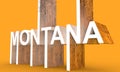 Montana State Name.