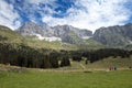 Italy - Friuli - Altopiano del Montasio Royalty Free Stock Photo