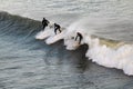 Montauk, New York - January 1, 2019 : Three surfers in the water catching a wave off the coast of Montauk Point - New York