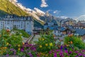 Montblanc view from Chamonix valley through flowers