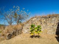 Monte Alban, Oaxaca, Mexico, South America : [Biggest ruins of ancient Zapotec city at the top of the mountain, UNES Royalty Free Stock Photo