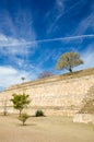 Monte Alban Oaxaca small tree and bushes on the slopes of ancient structure and sky Royalty Free Stock Photo