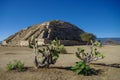 Monte Alban - the ruins of the Zapotec civilization in Oaxaca, M Royalty Free Stock Photo