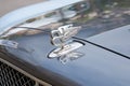 Bentley gray luxury car silver logo in a summer day in Monte Carlo, Monaco