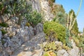 The exotic garden path and cliff with rare succulent plants in a sunny day in Monte Carlo, Monaco